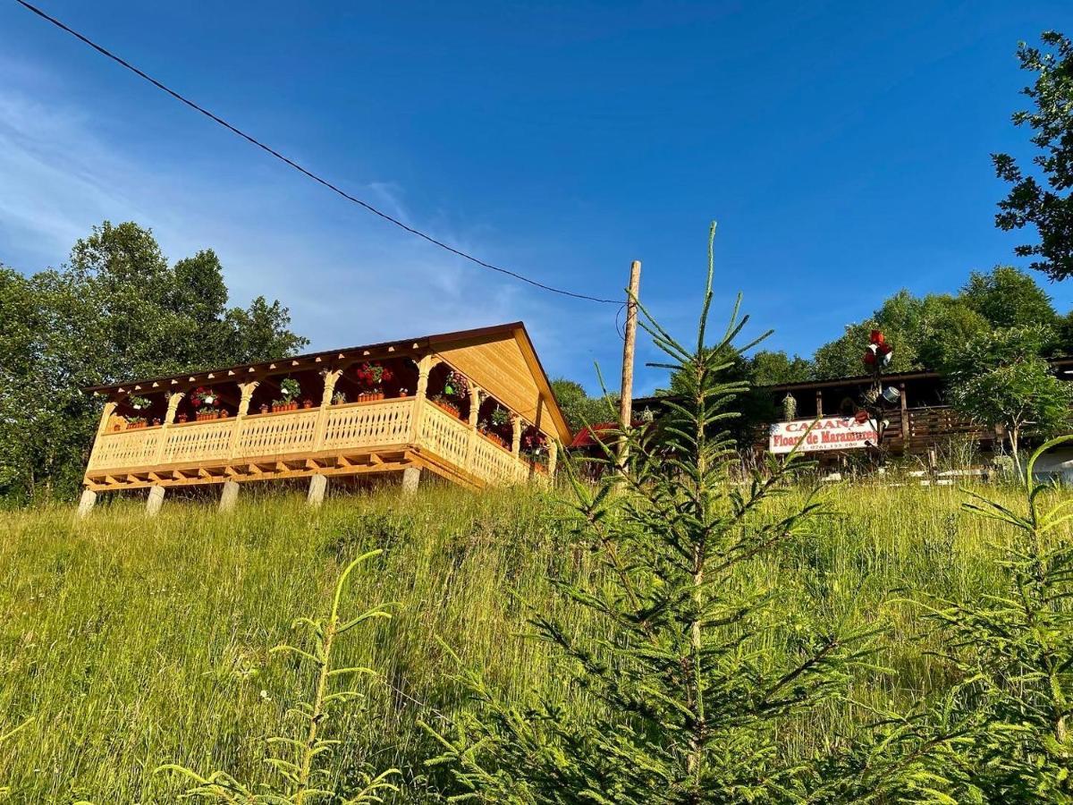 Floare De Maramures 2 Sighetu Marmatiei Ngoại thất bức ảnh
