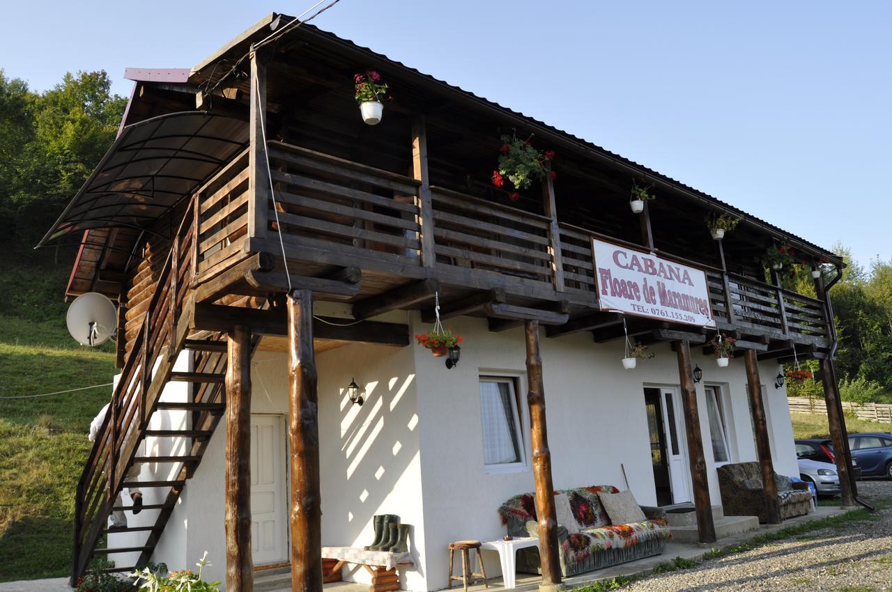 Floare De Maramures 2 Sighetu Marmatiei Ngoại thất bức ảnh