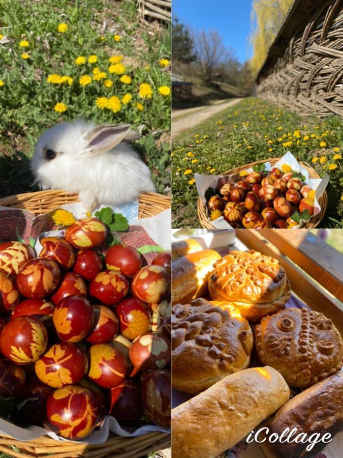 Floare De Maramures 2 Sighetu Marmatiei Ngoại thất bức ảnh